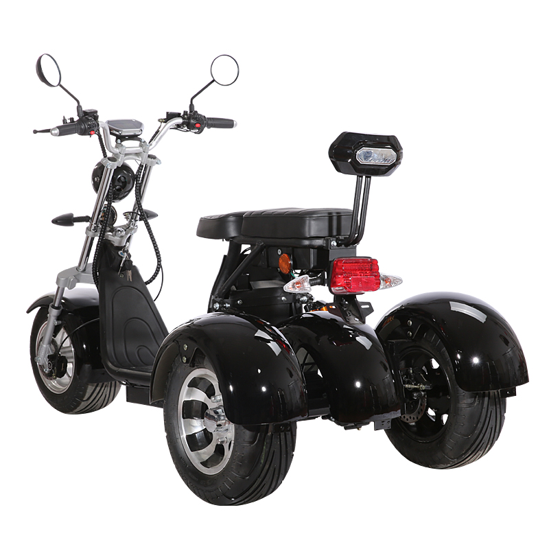 New Model Powerful 3 Wheel Citycoco with 2 seat