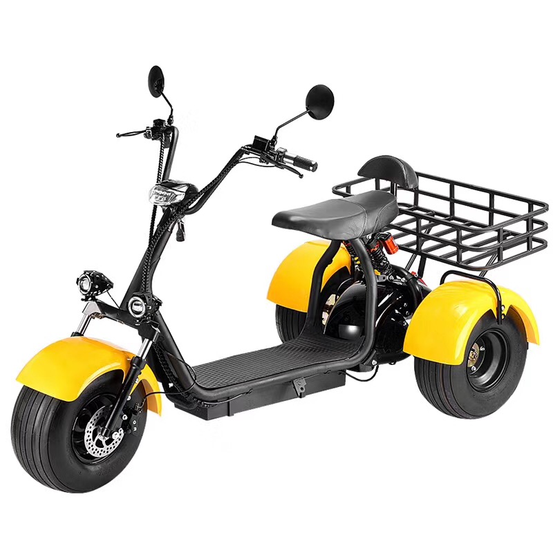 3 Wheel Citycoco Scooter with big basket