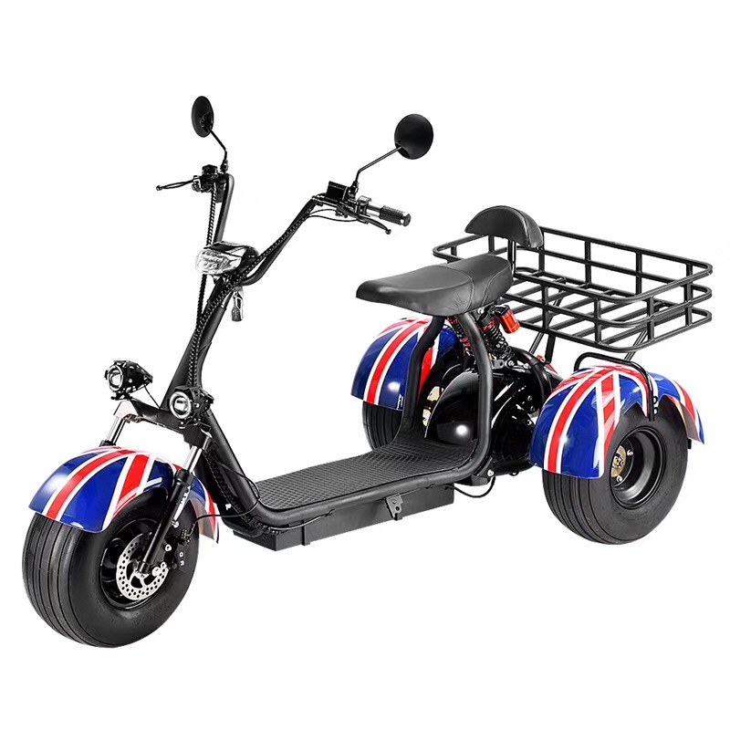 3 Wheel Citycoco Scooter with big basket