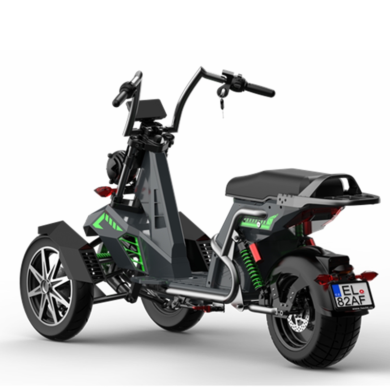 New Model Tricycle 3 Wheel Citycoco For Disabler and Old